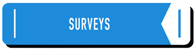 Surveys - learning center